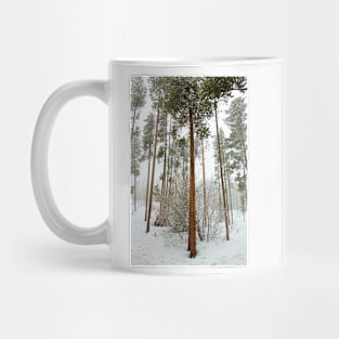 Winter Park Late Spring Study 1 Mug